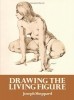 Drawing the Living Figure: A Complete Guide to Surface Anatomy title=