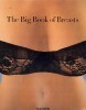 The Big Book of Breasts title=
