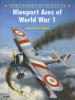 Nieuport Aces of World War I (Osprey Aircraft of the Aces 33) title=