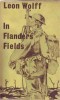 In Flanders Fields: The 1917 Campaign title=