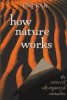 How Nature Works: The Science of Self-organized Criticality title=