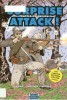 Surprise Attack!: Battle of Shiloh (Graphic History 4) title=