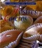 Postres Caseros (El Gran Libro Del Gourmet) title=