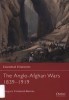 The Anglo-Afghan Wars 1839-1919 (Essential Histories 40) title=