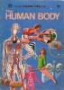The Human Body (A Golden Exploring Earth Book)
