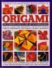 The Practical Illustrated Encyclopedia of Origami title=