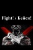 FIGHT! / !