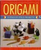 Origami 30 fold-by-fold projects title=