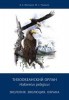   Haliaeetus pelagicus: , , 