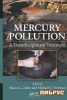 Mercury Pollution title=