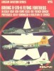 Aircam Aviation Series 15: Boeing B-17B-H Flying Fortress in USAAF, USAF, USN, USMC, USCG, RAF, French, Danish, Portuguese,