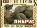 Echo of the Elephants: The Story of an Elephant Family title=