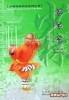 Shaolin Traditional Kungfu Series: Shaolin 