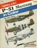 P-51 Mustang in Color (Fighting Colors Series 6505)