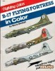 B-17 Flying Fortress in Color (Fighting Colors Series 6561)