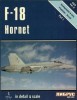 F-18 Hornet in detail & scale Part 1: Developmental & Early Production Aircraft (D&S Vol. 6) title=