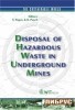 Disposal of Hazardous Waste in Underground Mines