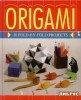Origami: 30 fold-by-fold projects title=
