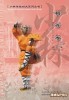 Shaolin Traditional Kungfu Series: Shaolin Plum Blossom Boxing