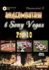   Sony Vegas Pro 10