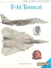 F-14 Tomcat (Osprey Combat Aircraft 5) title=