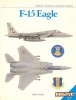 F-15 Eagle (Osprey Combat Aircraft 1)