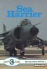BAe Sea Harrier FRS Mk 1 (Aeroguide 3) title=