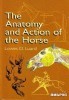 The Anatomy and Action of the Horse (Dover Anatomy for Artists) title=